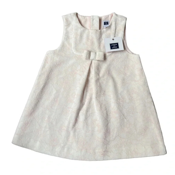 Janie and Jack Other - NWT Janie & Jack Pale Pink Velvety Dress